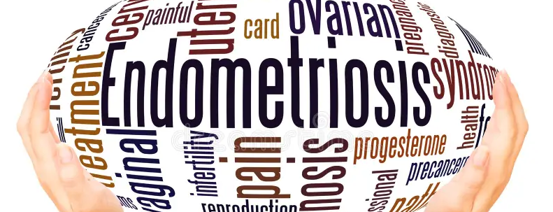 Illustration of green leaves